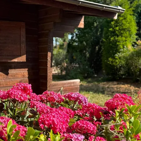 Vakantiehuis Moderner Splitlevel-bungalow Mit Garten